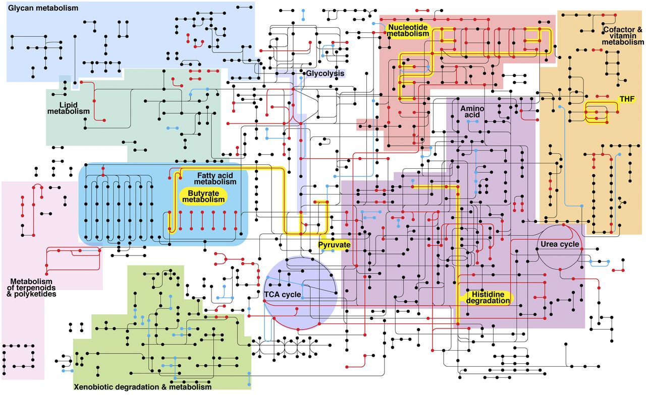 section-3-the-metabolic-theory-of-ecology-yeakel-group