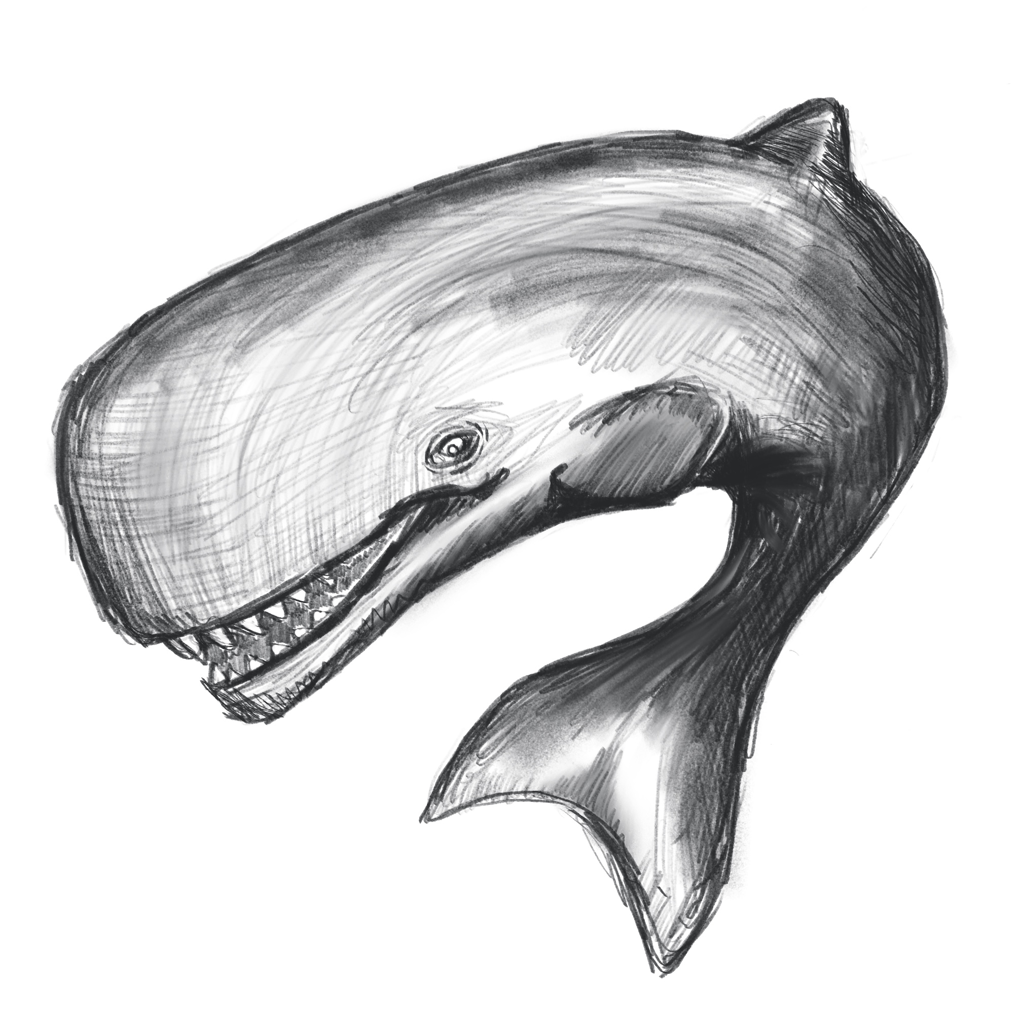 livyatan image