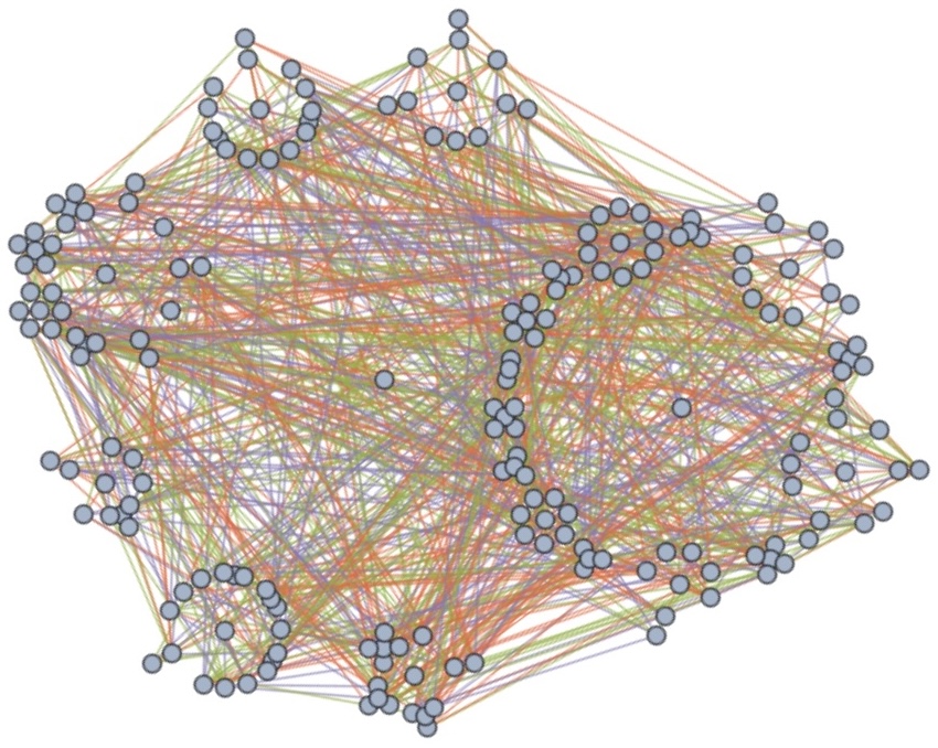 Ecological network illustration